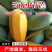 【小青芒】云南保山纯甜小青芒精品果