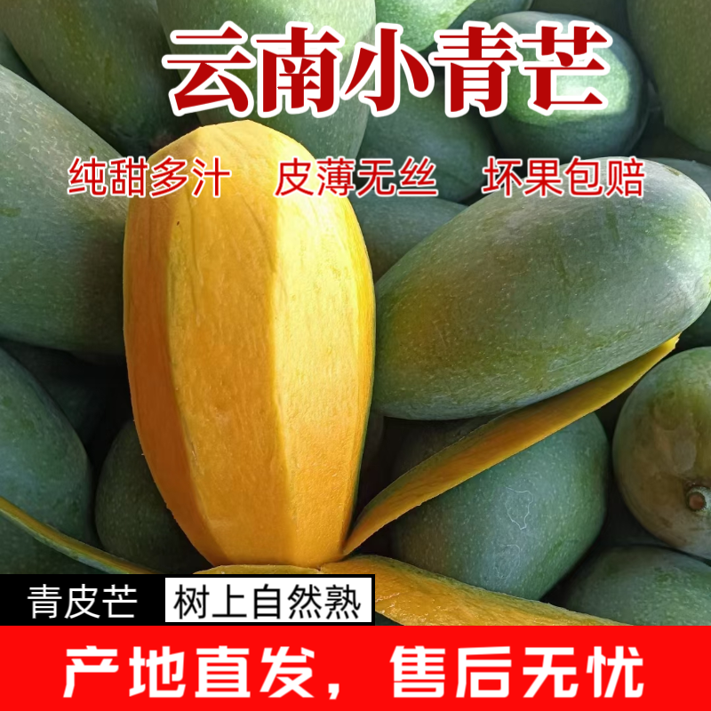 【小青芒】云南保山纯甜小青芒精品果