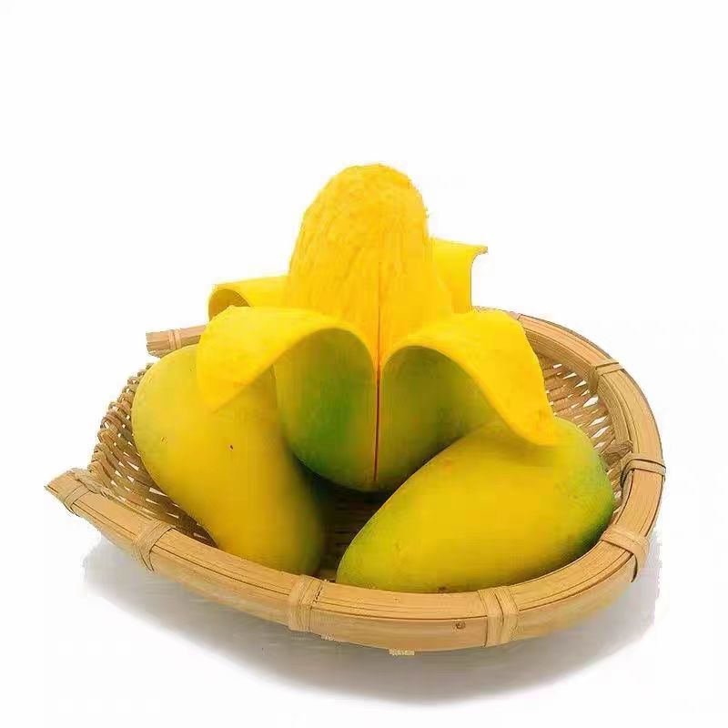 老树老品种芒果云南保山黄芒果酸甜可口