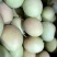 【澳芒】云南保山现摘现发精品果一级货皮薄肉厚质量保证