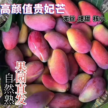 【贵妃芒电商货】二级果大小贵妃果园直发纯甜无丝核薄如纸