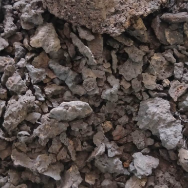 干漆冷背药材大全