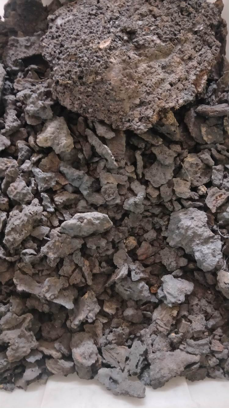 干漆冷背药材大全