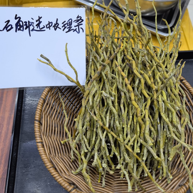 铁皮石斛全国发货品质保障欢迎电话联系