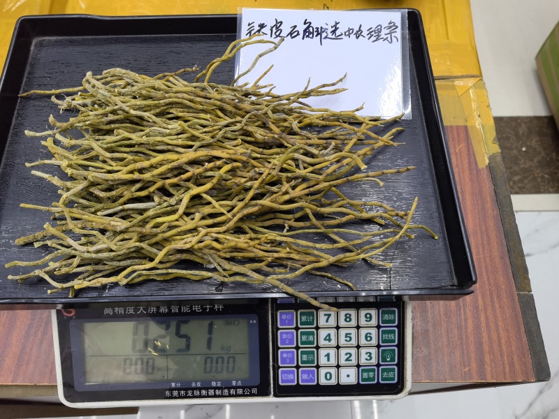 铁皮石斛全国发货品质保障欢迎电话联系