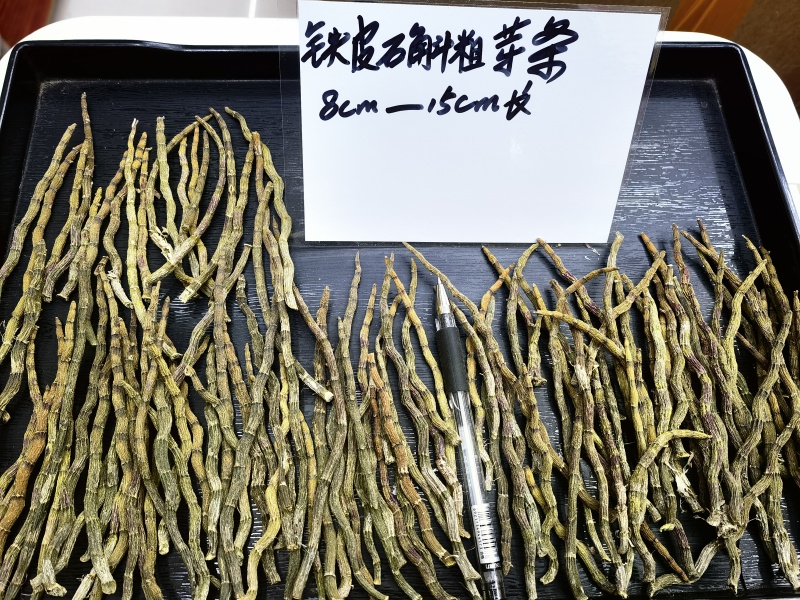 铁皮石斛全国发货品质保障欢迎电话联系