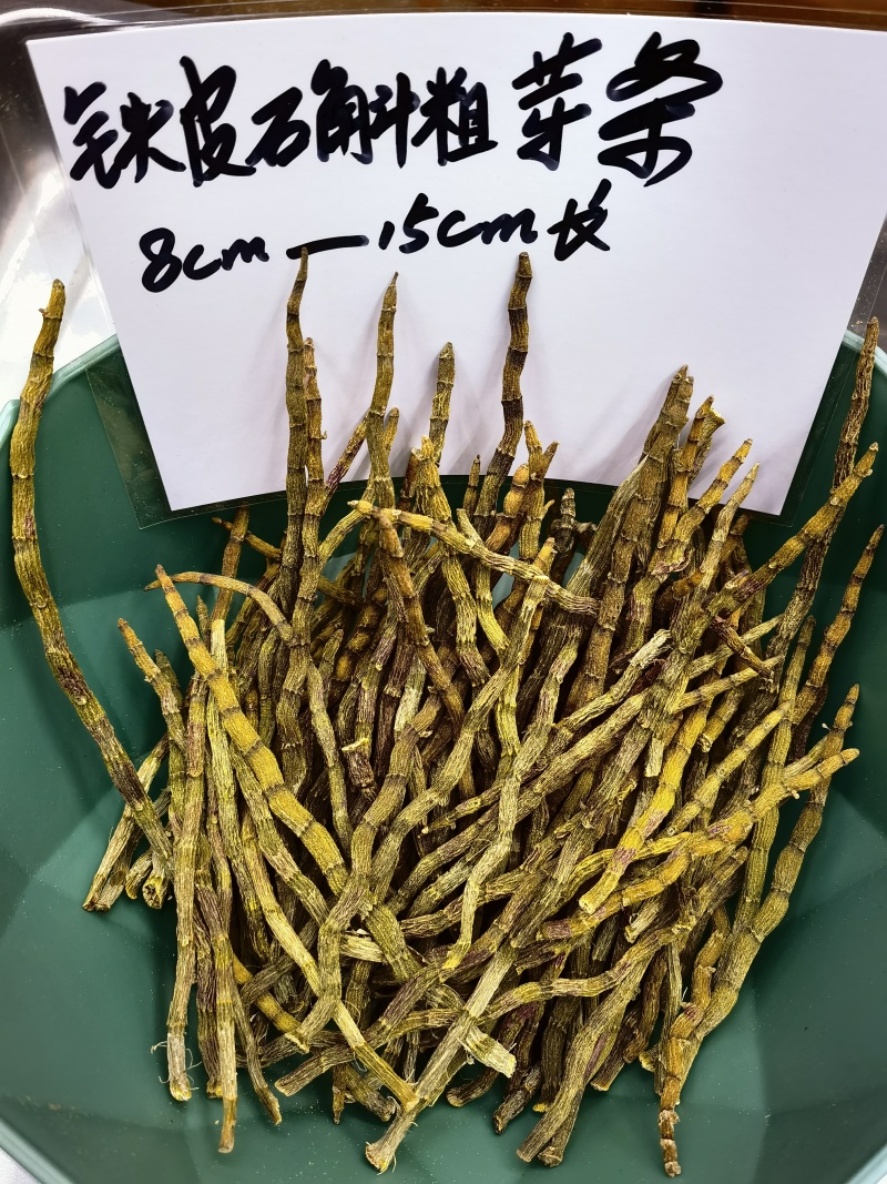 铁皮石斛全国发货品质保障欢迎电话联系