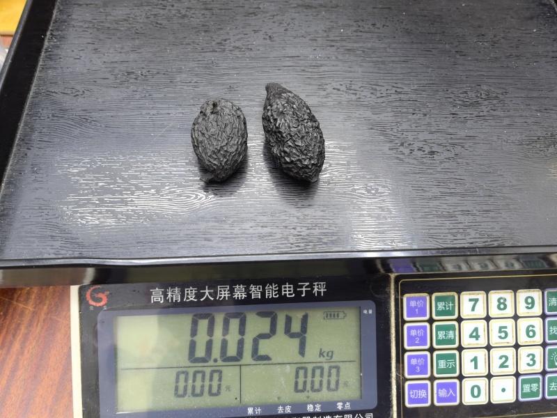 野生乌灵参全国发货品质保障欢迎电话联系
