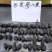 野生乌灵参全国发货品质保障欢迎电话联系