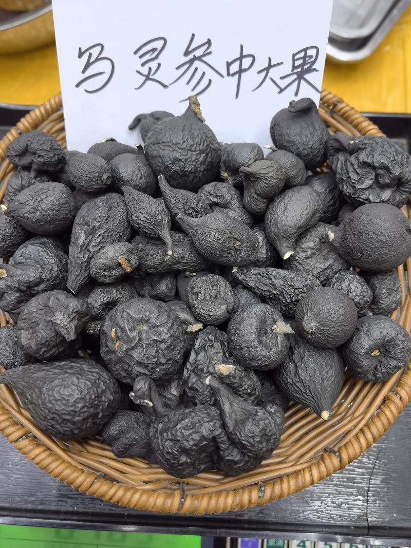 野生乌灵参全国发货品质保障欢迎电话联系