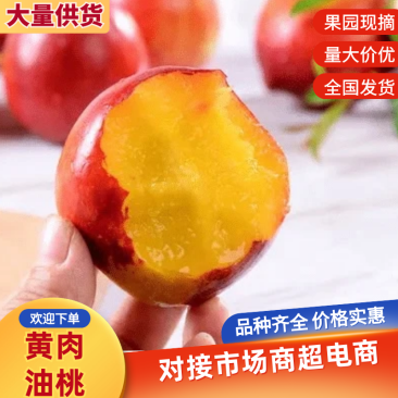 【每日推荐】河南三门峡黄肉油桃产地直发品质保障量大从优