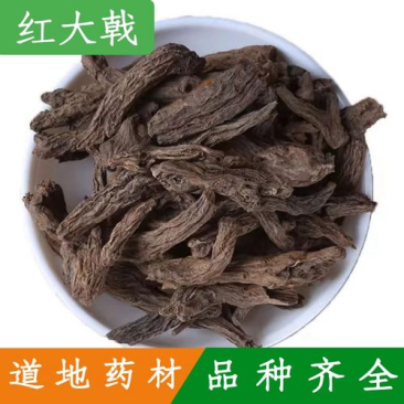 正品红大戟冷背药材大全