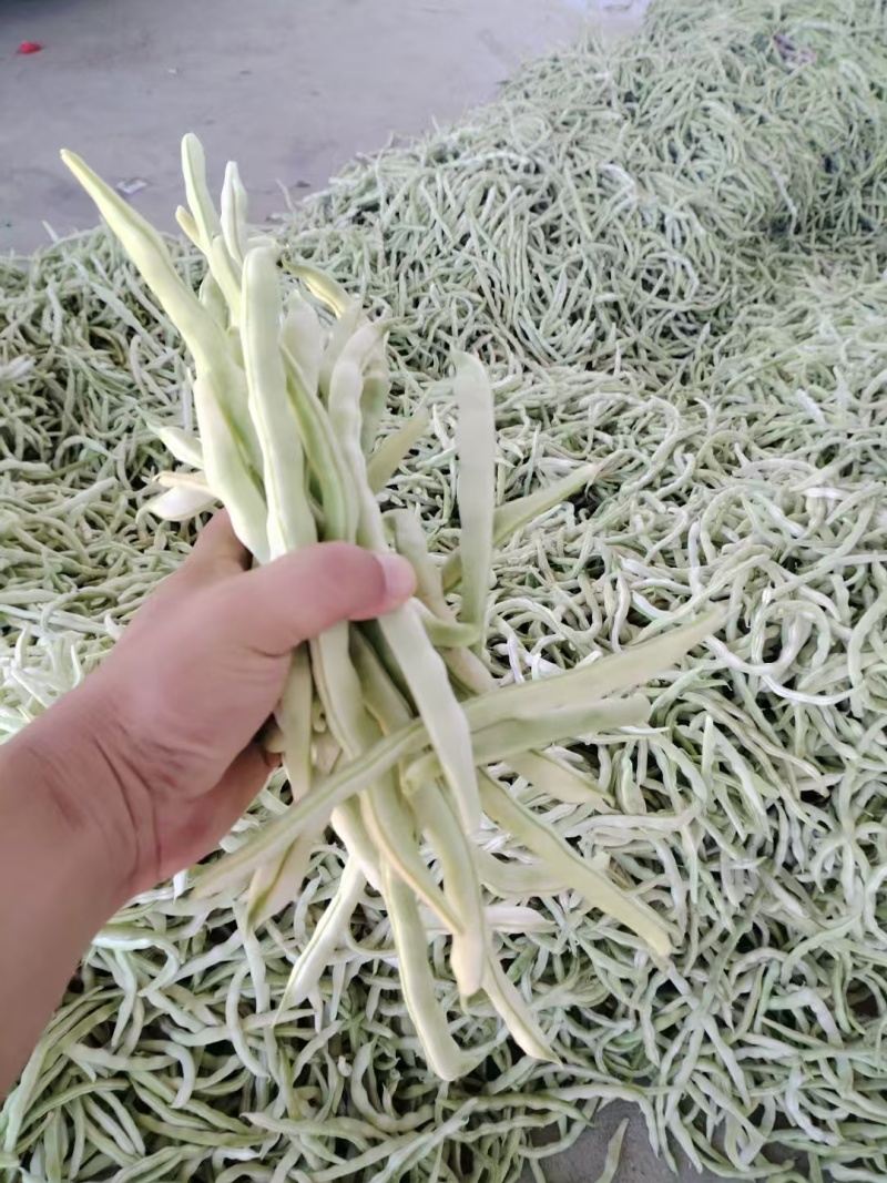白不老豆角产地直发大量有货电商超市社区团购量大从优