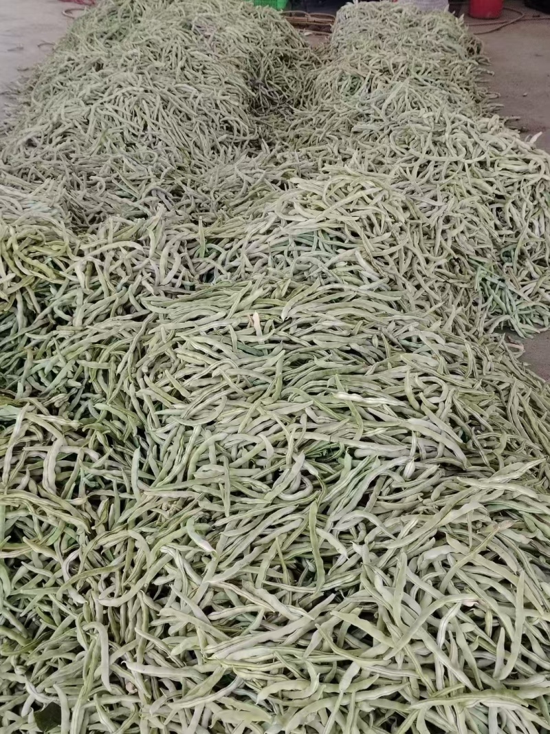 白不老豆角产地直发大量有货电商超市社区团购量大从优