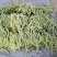 白不老豆角产地直发大量有货电商超市社区团购量大从优