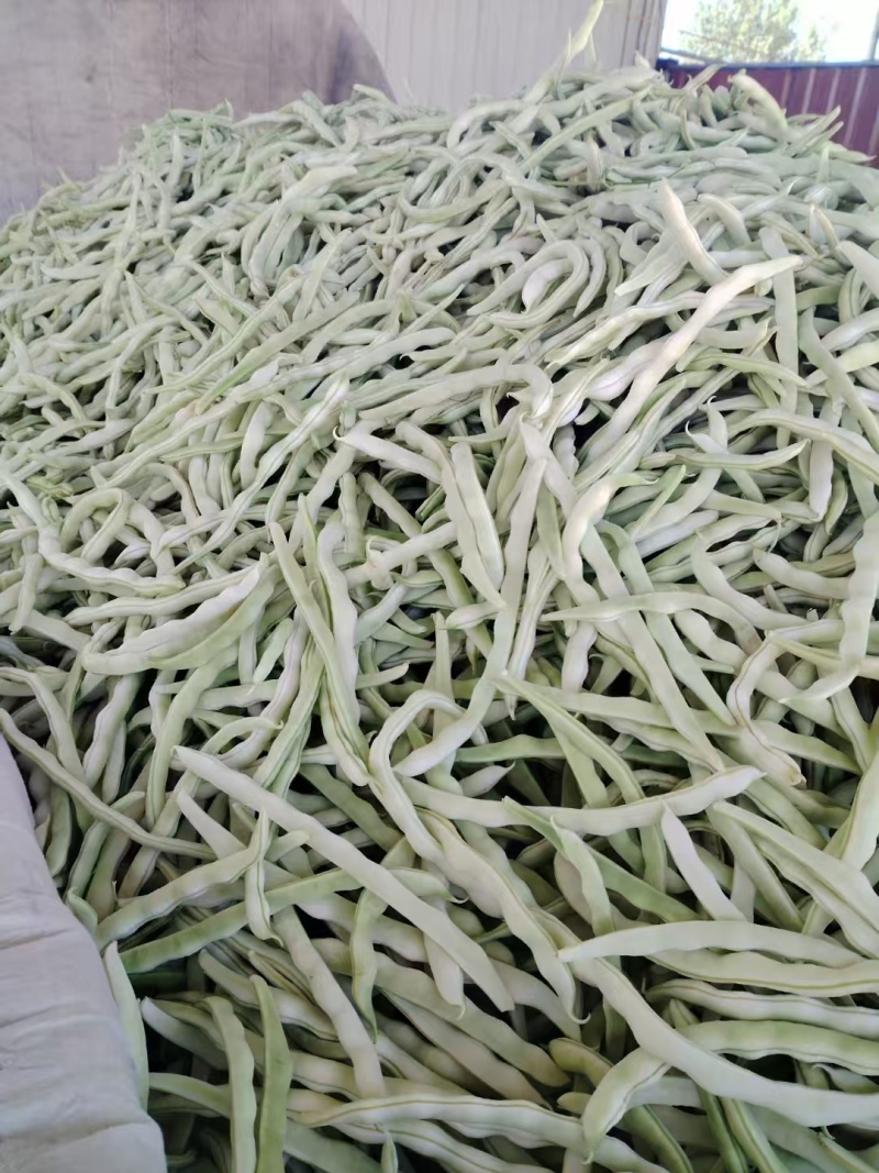 白不老豆角产地直发大量有货电商超市社区团购量大从优