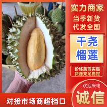 干尧榴莲产地直发品质保障对接全国电商团购市场等