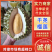 干尧榴莲产地直发品质保障对接全国电商团购市场等