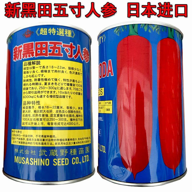 新黑田五寸人参宝冠红萝卜胡萝卜种子进口高端品种