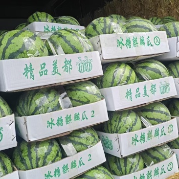 无籽美都有籽美都产地一手货源量大价优欢迎电话联系
