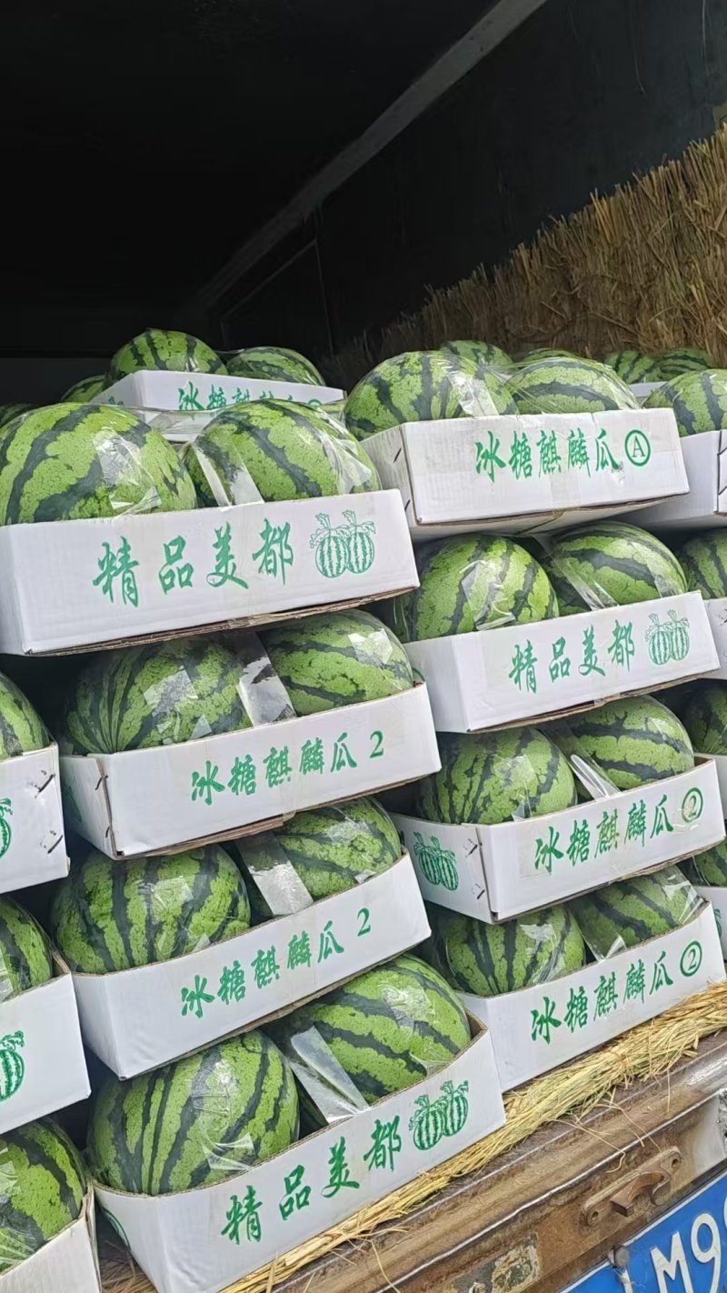 无籽美都有籽美都产地一手货源量大价优欢迎电话联系