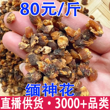 缅神花金莲子金莲籽产地货源一件代发