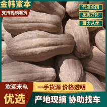 金韩蜜本南瓜大量上市产地直销欢迎咨询采购