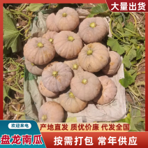盘龙南瓜优质南瓜欢迎各地采购商对接量大从优