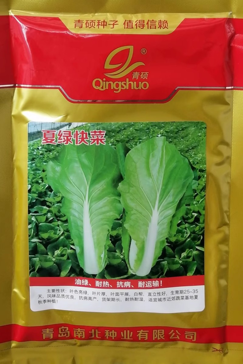 快菜种子四季播速生小白菜种子耐热夏绿快菜叶厚青菜籽