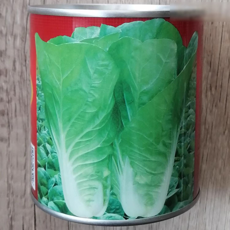 申荣一号快菜种子叶质柔软无茸毛四季速生小白菜种子