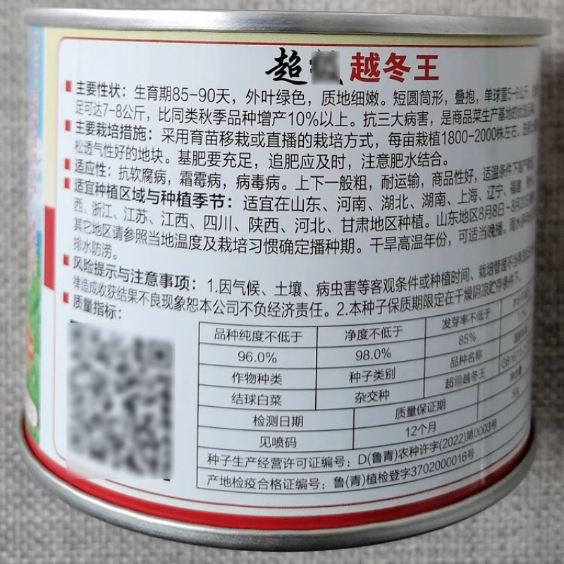 耐寒越冬王一代杂交大白菜种子结球白菜种子基地用种子
