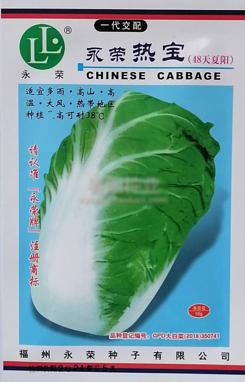 抗热大白菜种子永荣热宝48天夏阳白菜种子早熟耐高温