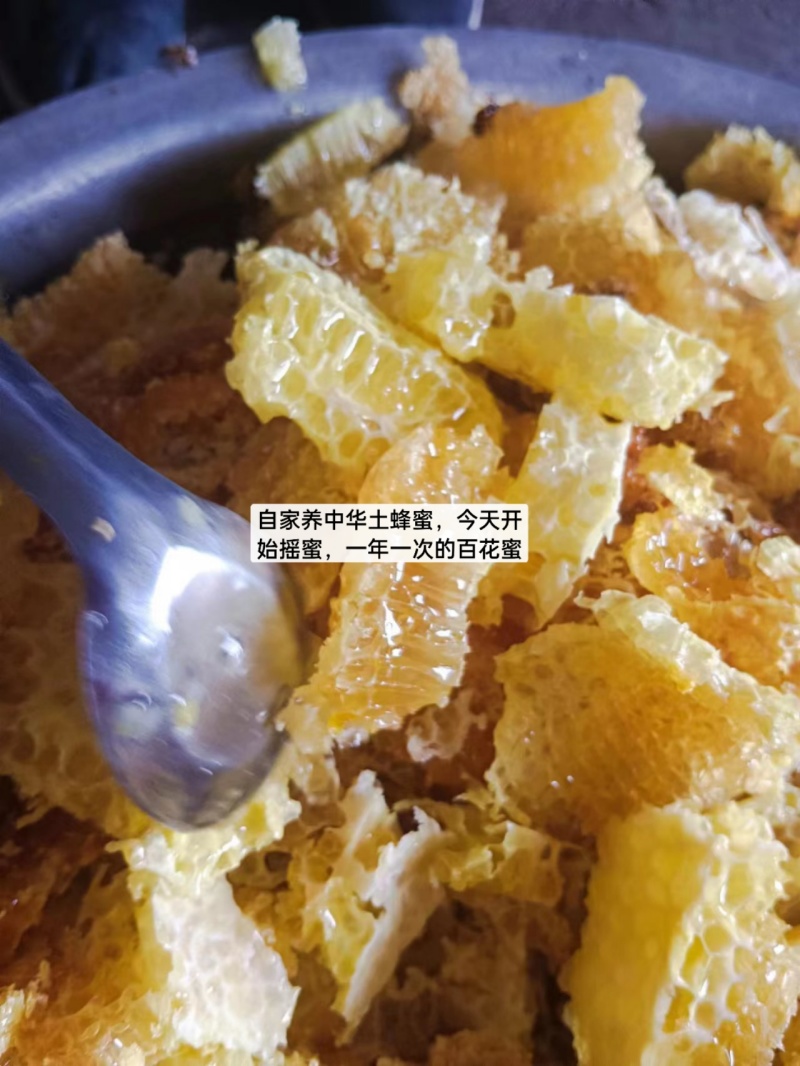 河北蜂蜜货源充足产地直销欢迎进店选购