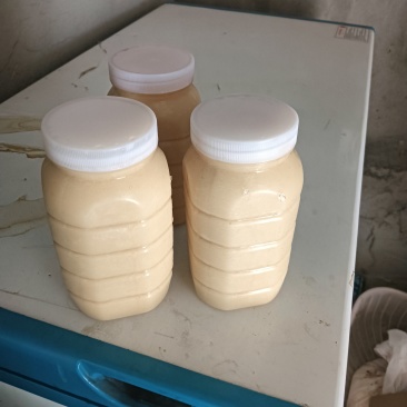 河北蜂蜜货源充足产地直销欢迎进店选购