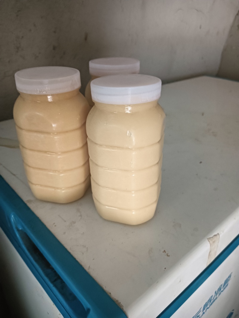 河北蜂蜜货源充足产地直销欢迎进店选购