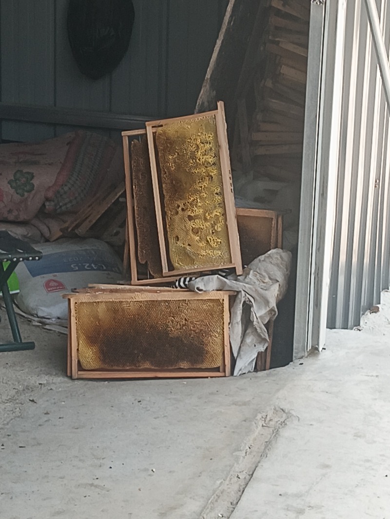 河北蜂蜜货源充足产地直销欢迎进店选购