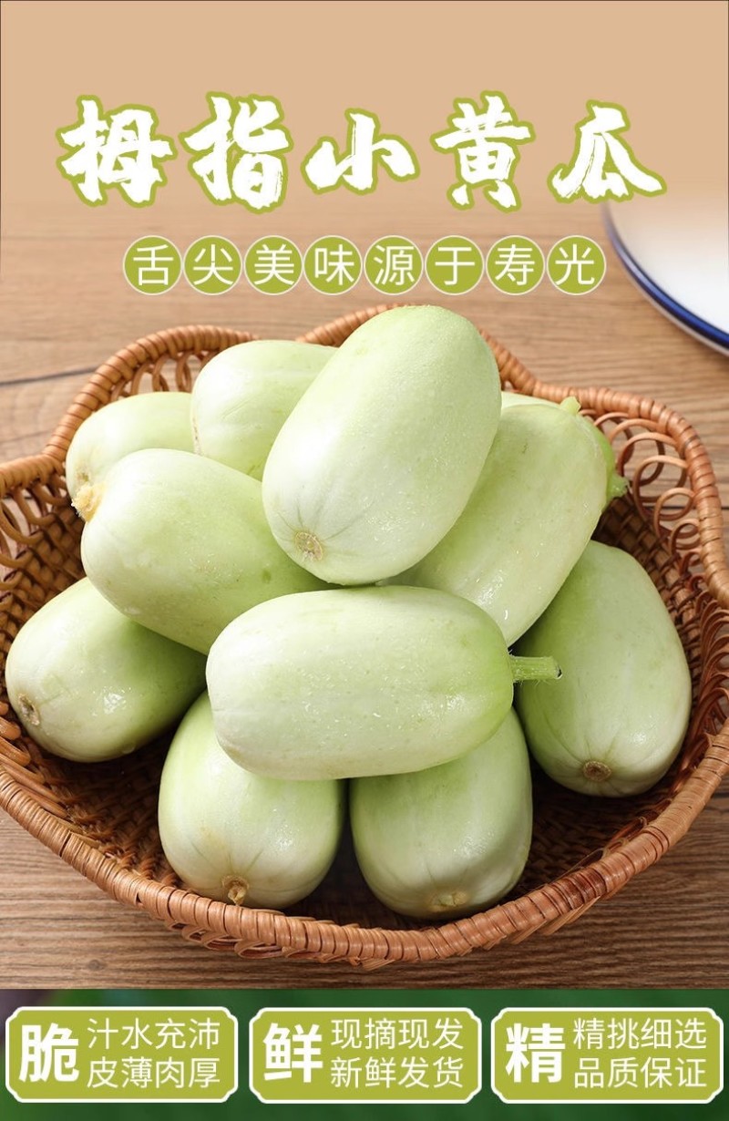 山东寿光金童玉女黄瓜批发，商超品质，电商一件代发