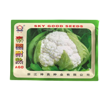 泰国耐热A60花菜种子耐热株型矮壮球白球紧实种子高产