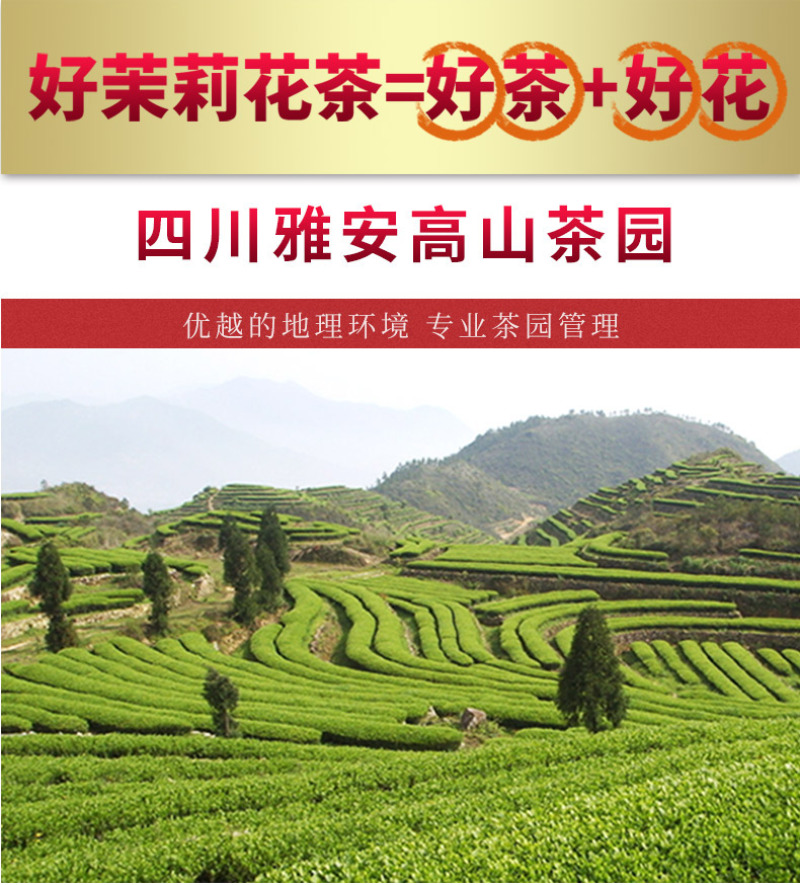 特级茉莉花茶P700（250g）