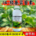 14羟基芸苔素甾醇植物源提取吸收利用率高增药效提肥效