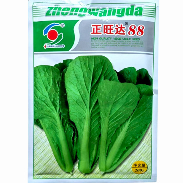 正旺达88小白菜种子青梗小白菜绿帮20天以上可以采收速生