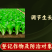 14-羟基芸苔素0.004%花粉提取植物源吸收快