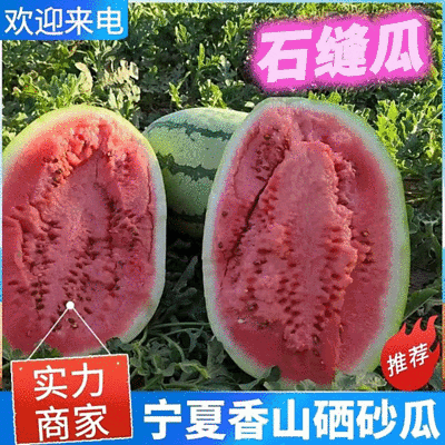 双红金城&宁夏硒砂瓜/产地直供/包熟包甜/大吨位供应中
