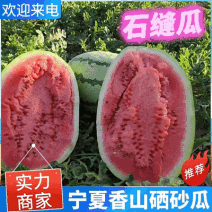 宁夏金花西瓜/金花1号6号/产地直供包熟甜/大吨位供应