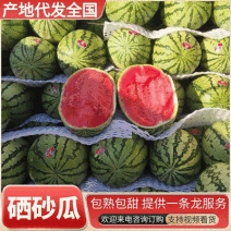 《金花西瓜》金花1号6号/宁夏西瓜/包熟包甜/全国发货