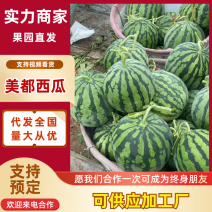 美都西瓜精品西瓜对接加工厂量大优惠视频看货