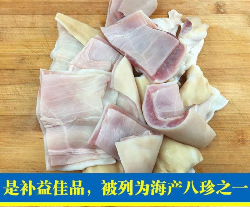 鲨鱼肚海鱼肚海鱼胃海八珍之一
