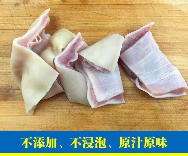 鲨鱼肚海鱼肚海鱼胃海八珍之一
