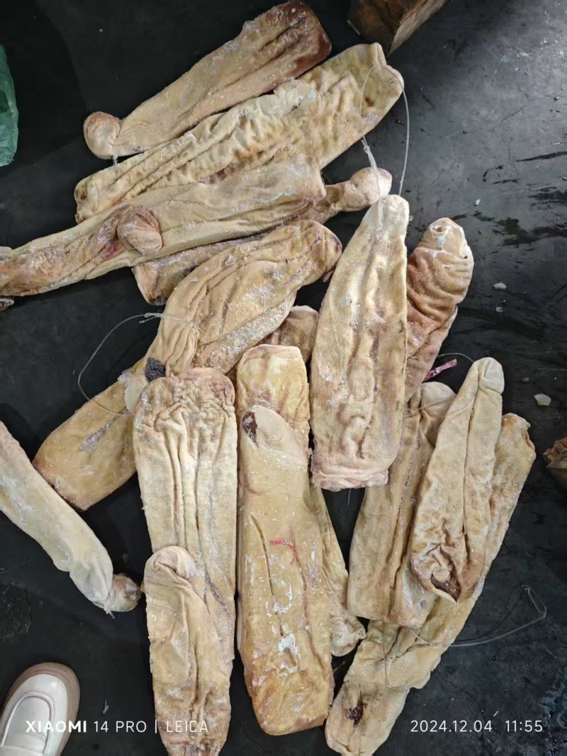 鲨鱼肚海鱼肚海鱼胃海八珍之一
