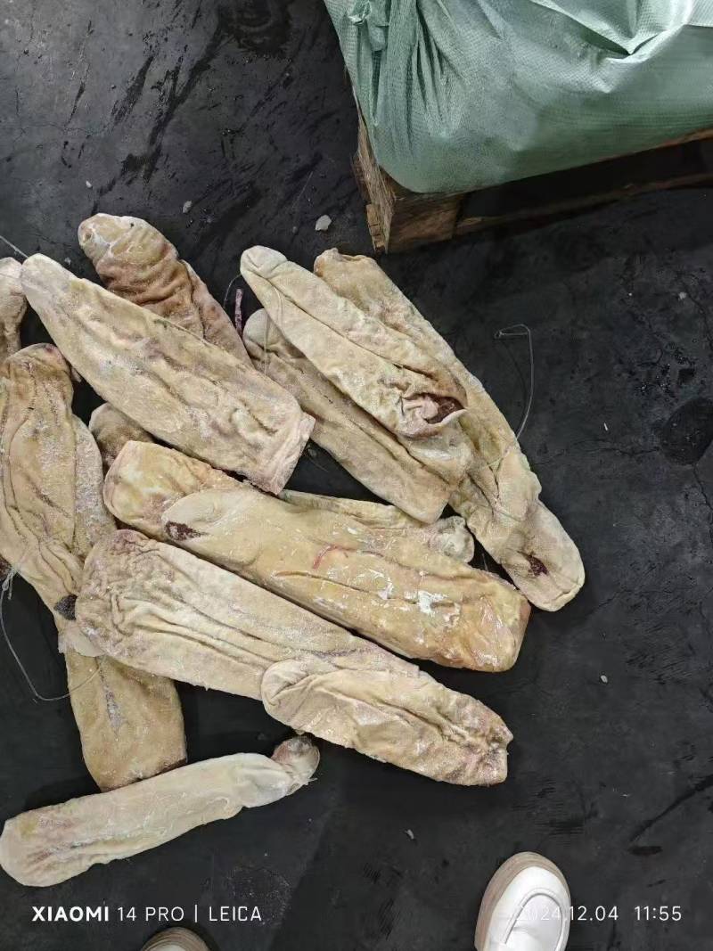 鲨鱼肚海鱼肚海鱼胃海八珍之一